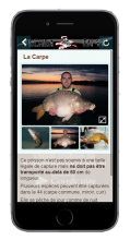 carpe