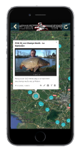 cartes-interactives