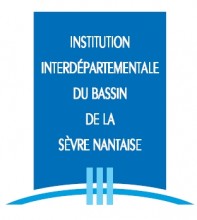 Logo IIBSN