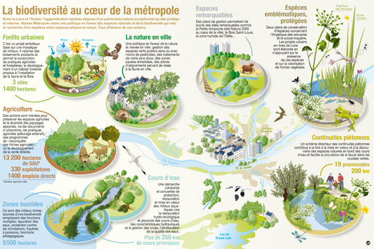 Infographie-Biodiversite-nantais