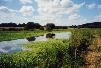 le-Don-à-massérac_août 1999