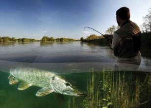 pêcheur-loire-brochet