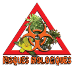 risque-biologique