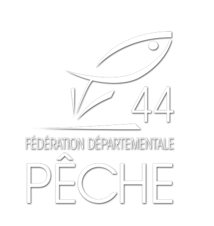 Pêcher la Carpe en Loire-Atlantique - Fédération de pêche 44