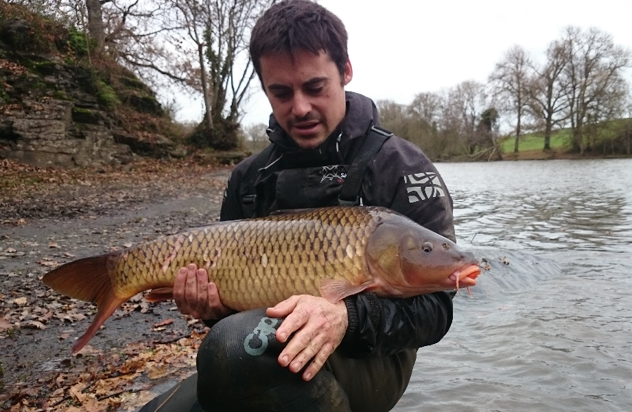 Carp Tour 360 : pêcher une carpe par jour dans chaque département (ou  presque) de France métropolitaine - Le chasseur français