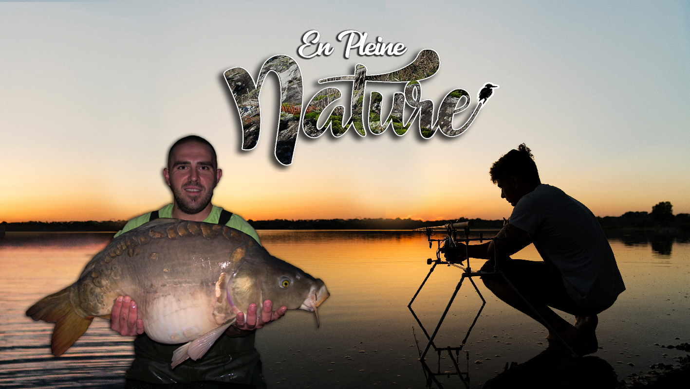 Pêcher la Carpe en Loire-Atlantique - Fédération de pêche 44